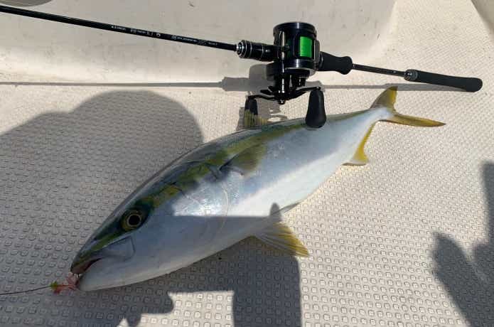 ラグゼ 桜幻XXを実釣インプレ！春の難関フィールドで真価を検証