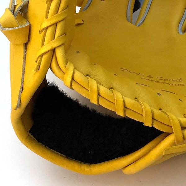 ゼット（ZETT） プロステイタス 硬式 グローブ 内野 野球 BPROG660 袋