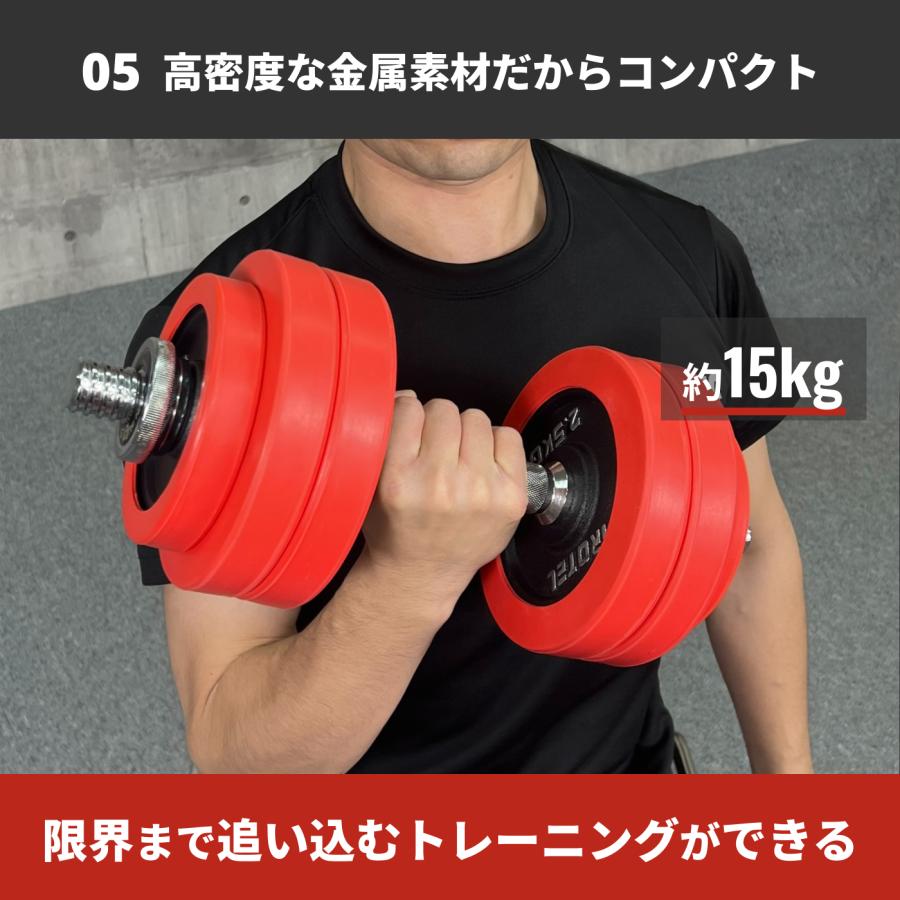 IROTEC（アイロテック） ダンベル ラバー ダンベル60kgセット 30kg×2個