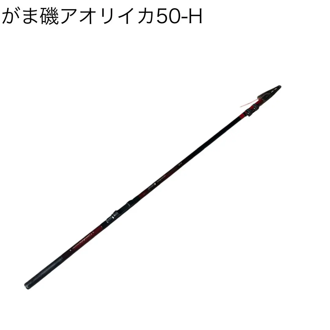 2026年最新】がま磯アオリイカの人気アイテム - メルカリ