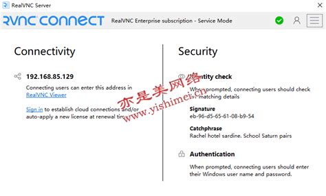 RealVNC VNC Server 7.13.1